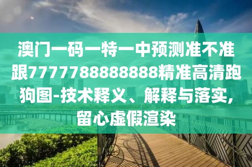 澳門(mén)一碼一特一中預(yù)測(cè)準(zhǔn)不準(zhǔn)跟7777788888888精準(zhǔn)高清跑狗圖-技術(shù)釋義、解釋與落實(shí),留心虛假渲染