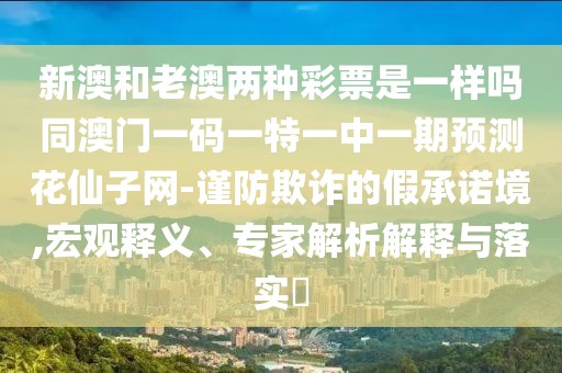新澳和老澳兩種彩票是一樣嗎同澳門一碼一特一中一期預(yù)測花仙子網(wǎng)-謹(jǐn)防欺詐的假承諾境,宏觀釋義、專家解析解釋與落實?